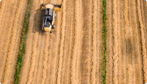 Tractor Plowing Field